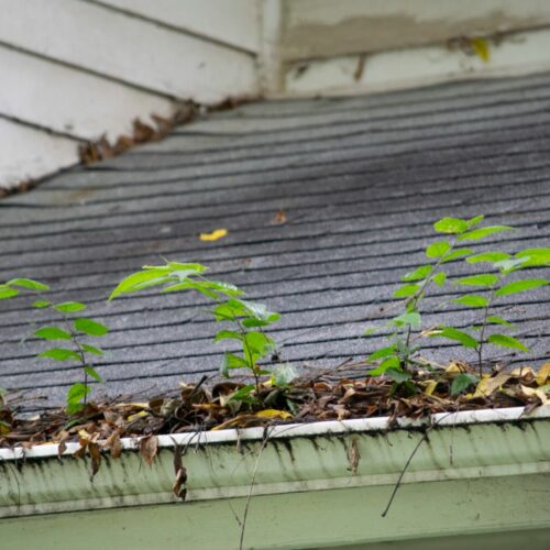 gutter cleaning kettering